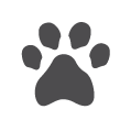 Animaux admis