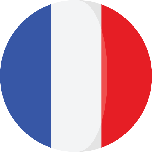 lien vers la version française du site